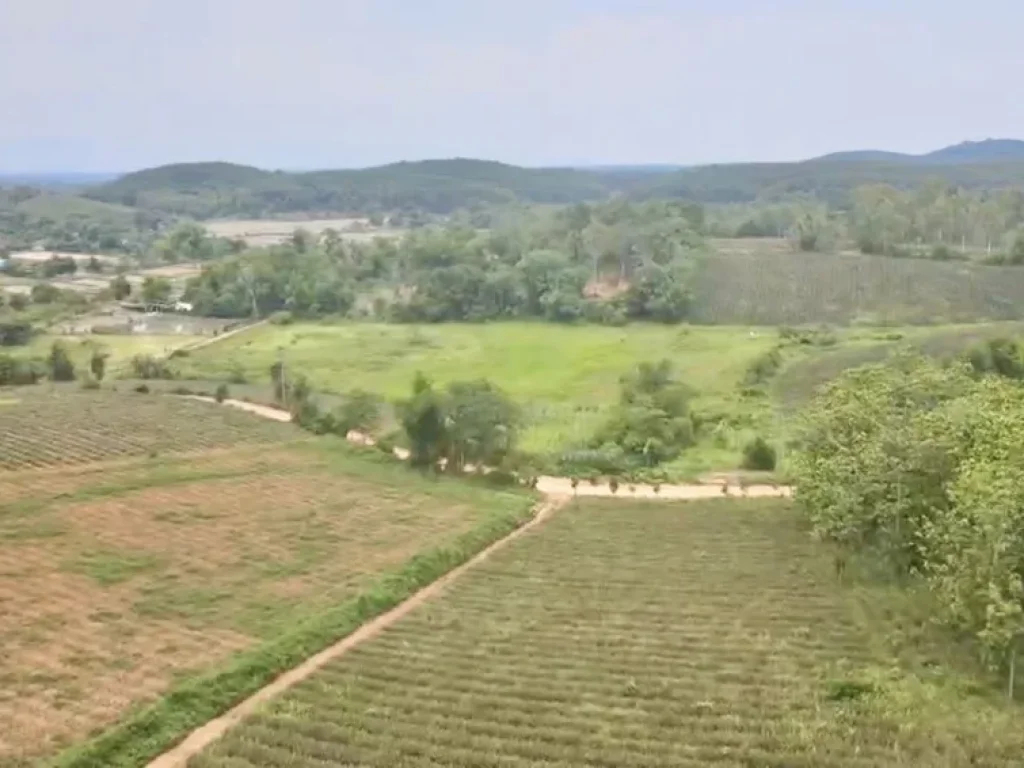 ขายที่ดินใกล้เมืองที่ตำบลดอยฮาง อำเภอเมือง จังหวัดเชียงราย