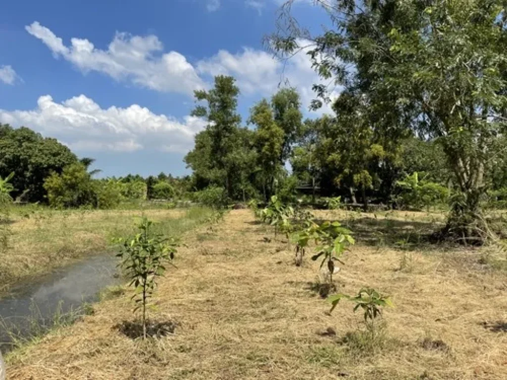 ขายที่ดิน คลอง9 ฝั่งตะวันออก ใกล้วัดบึงกาสาม จังหวัดปทุมธานี