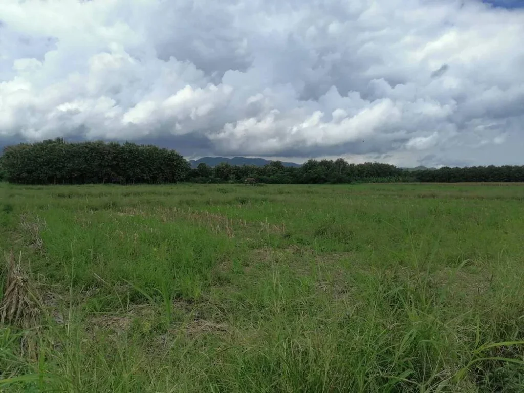 ขาย ที่ดินเปล่า ติดถนนลาดยาง ตำบลห้วยหม้าย อำเภอสอง จังหวัดแพร่