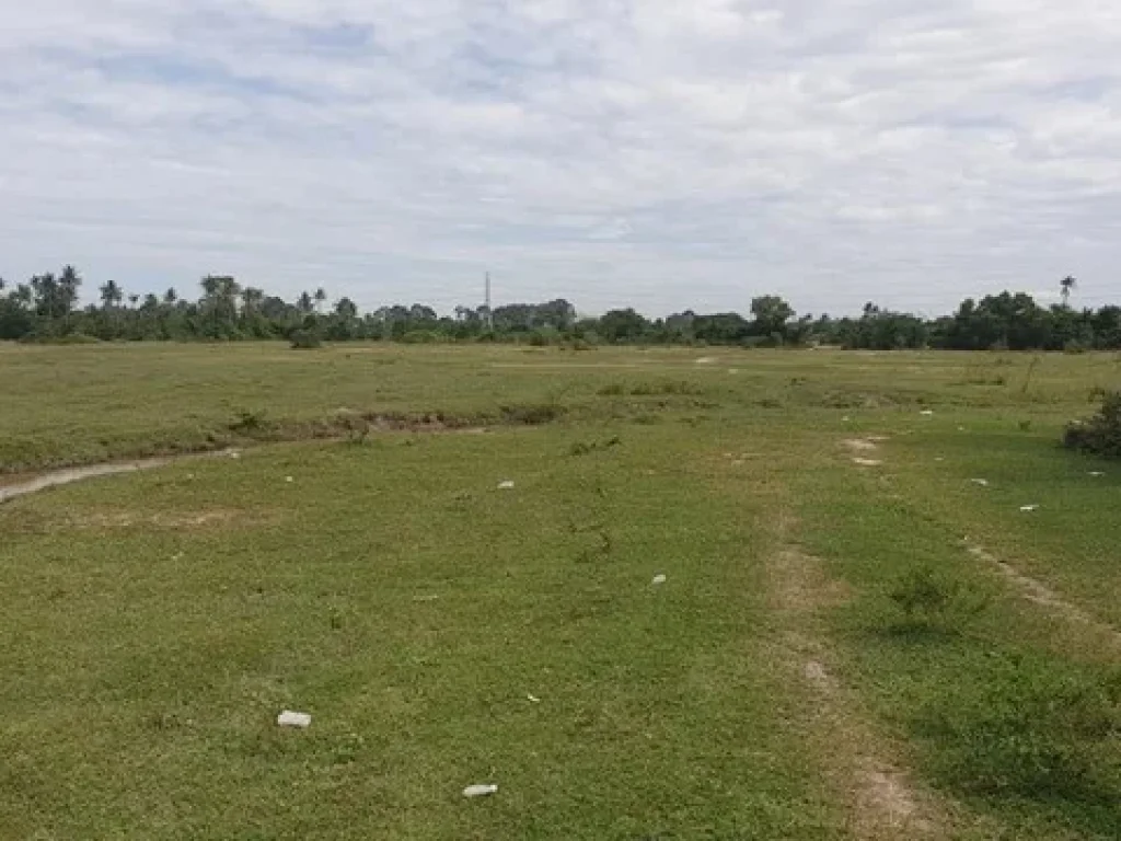 ขายที่ดิน 106 ไร่ ห่างถนนสุขุมวิท 500 เมตร ตบางละมุง อบางละมุง จชลบุรี