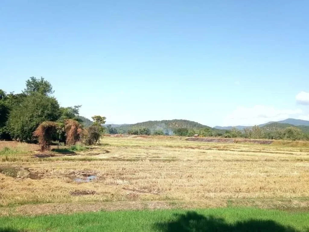 ที่ดินริมนา วิวสวย ติดคลอง ติดถนนสายหลัก อุตรดิตถ์