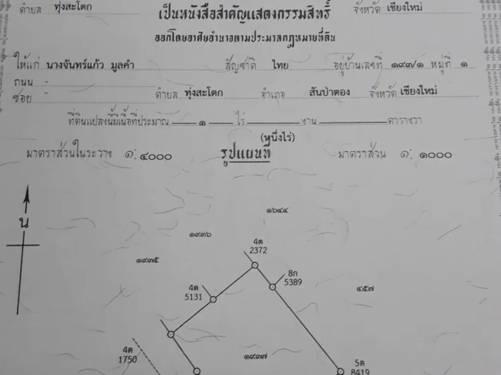 ขาย ที่ดิน 1 ไร่ เจ้าของขายเอง สันป่าตอง เชียงใหม่