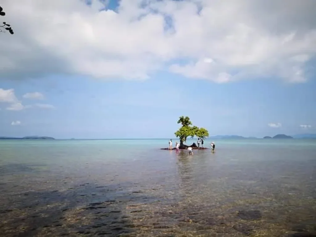 ขายเกาะส่วนตัว จังหวัดราด เนื้อที่ 1000ไร่ เอกสารโฉนด