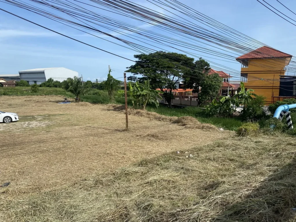 ขายที่ดินถมแล้วติดถนน คลองส่งน้ำสุวรรณภูมิ อำเภอบางพลี จังหวัดสมุทรปราการ