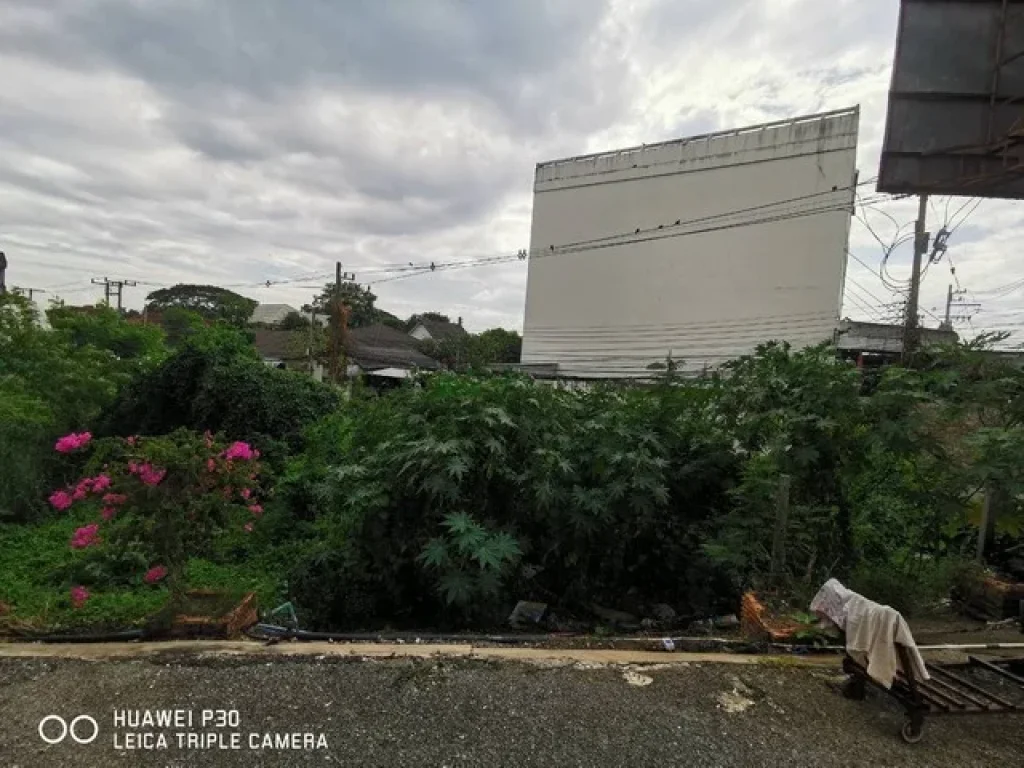 ขายที่ดินติดถนนใหญ่ 1467 ตรว ตำบล สุเทพ เมืองเชียงใหม่ ใกล้สนามบินเชียงใหม่