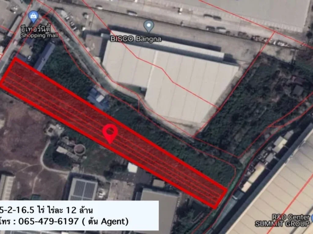 ที่ดินทำเลทอง ผังสีม่วง อ1-5 ถูกสุดในย่านนี้ ใกล้ทางแยกต่างระดับ เทพารักษ์-บางพลี