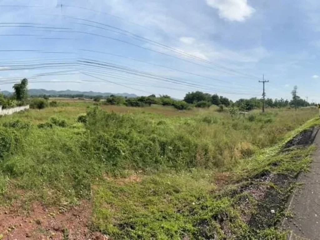 ขายที่ดิน อท่าลี่ ใกล้สะพานมิตรภาพไทย-ลาว พระธาตุสัจจะ พระธาตอุโมงค์ แก่งโตน น้ำตกห้วยไคร้ น้ำตกตาดข่า มะค่ายักษ์