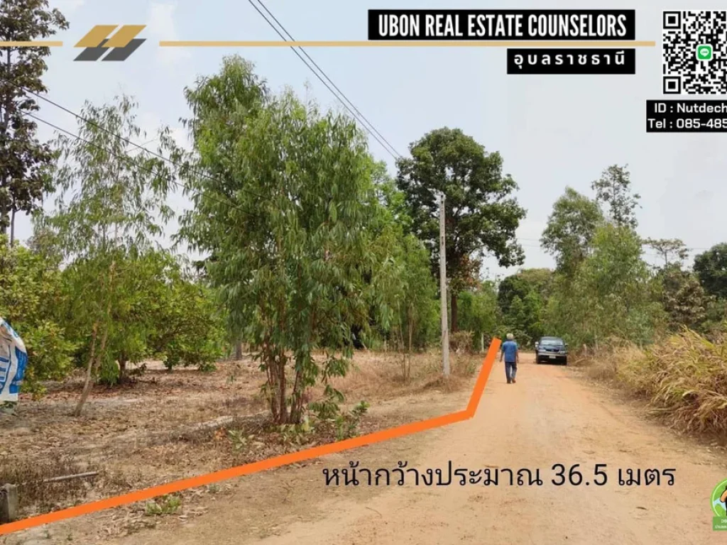 ที่ดินสวนมะม่วงหิมะพานต์ ตแก่งโดม อสว่างวีระวงศ์ จอุบลราชธานี