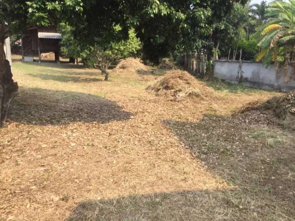 ที่ดินพร้อมสิ่งปลูกสร้างติดถนนใหญ่สันทราย-แม่โจ้ จังหวัดเชียงใหม่