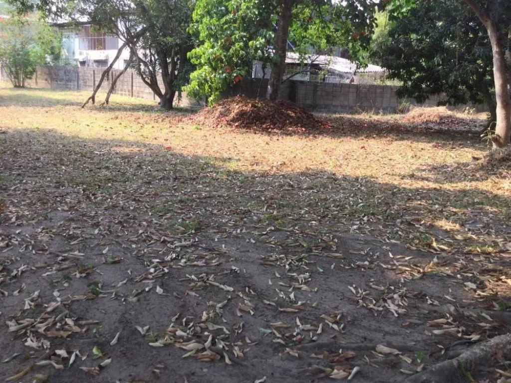 ที่ดินพร้อมสิ่งปลูกสร้างติดถนนใหญ่สันทราย-แม่โจ้ จังหวัดเชียงใหม่