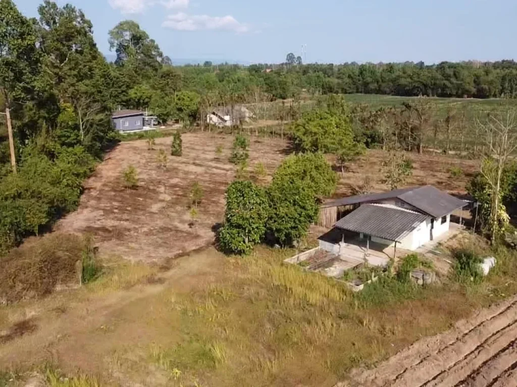 ขายที่ดินทำเลดีติดคลอง 26 ไร่พร้อมบ้าน อำเภอเมือง จังหวัดสระแก้ว