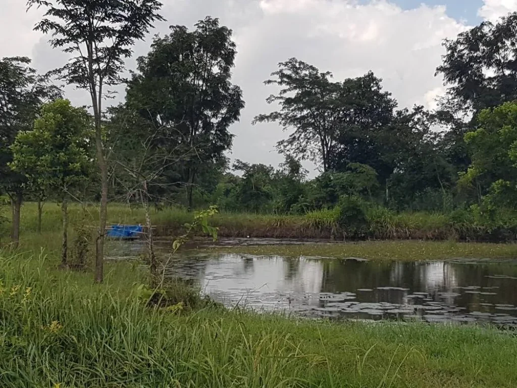 ผ่อนธเริ่มต้น 6500บ ความสุขในบ้านคุณ บ้านสวนพอเพียง บ้านสั่งสร้าง พร้อมรับข้อเสนอพิเศษ จำนวนจำกัด โครงการ เดอ เกรซ การ์เด้น โฮม