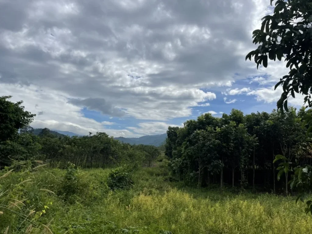 ที่ดิน อบ้านนา 9ไร่เศษ วิวเขาสวยงาม ติดถนนคอนกรีต ตำบลเขาเพิ่ม