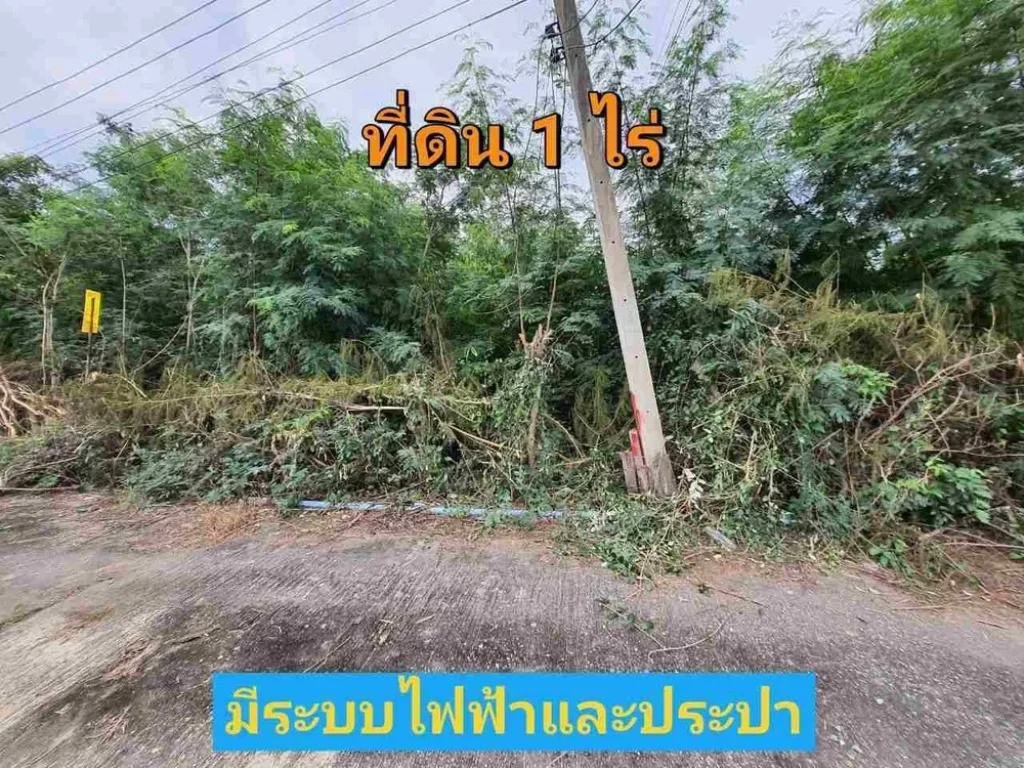 ขายที่ดินบัวปากท่า 1 ไร่ ถมไว้แล้วทั้งแปลง เหมาะสร้างบ้าน อบางเลน จนครปฐม