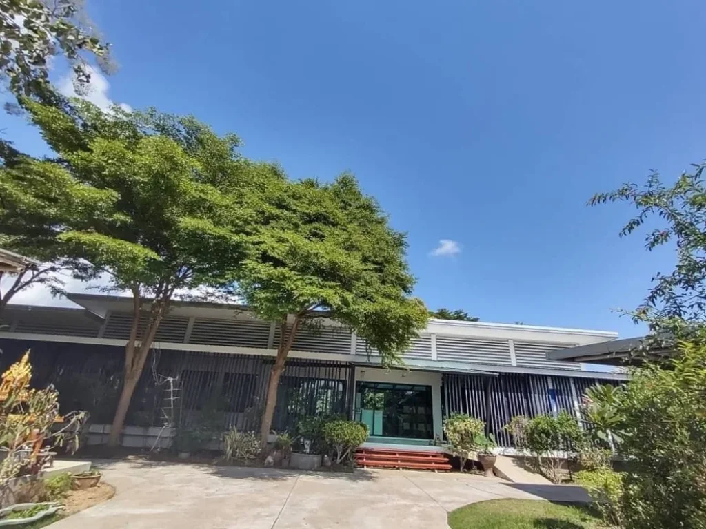 Home office for sale in Chiangmai ขาย โฮมออฟฟิศ เชียงใหม่ พื้นที่ 1 ไร่ 2 งาน 625 ตรว