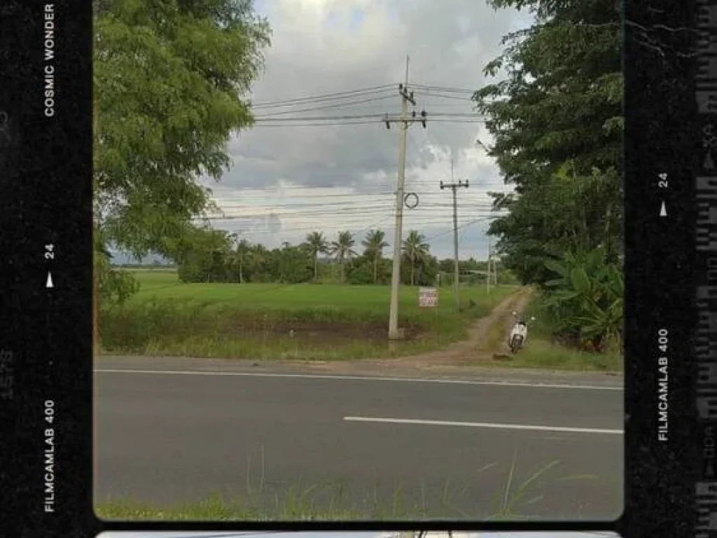 ขายที่ดินเปล่าติดถนนสระบุรี-หล่มสัก อบึงสามพัน จเพชรบูรณ์