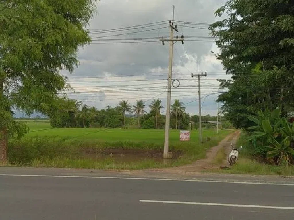 ขายที่ดินเปล่าติดถนนสระบุรี-หล่มสัก อบึงสามพัน จเพชรบูรณ์