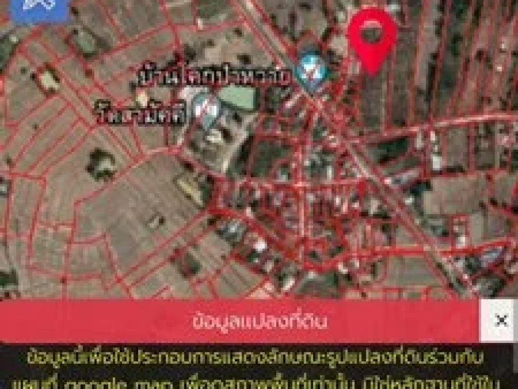 ขายที่ดิน บ้านโคกป่าหวาย อคำชะอี ขายยกแปลง Eng Below