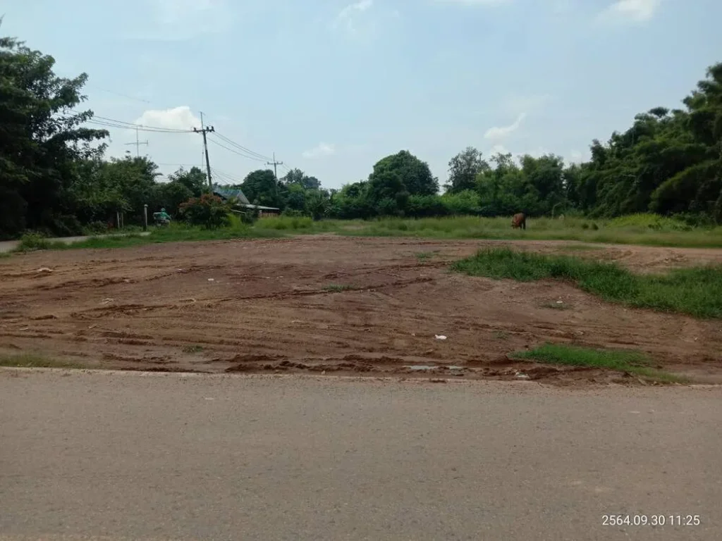 ขายที่ดินดงพระราม 200 ตรว ติดถนนลาดยาง 2 ด้าน ใกล้โรบินสันปราจีนบุรี - 5 กม จปราจีนบุรี