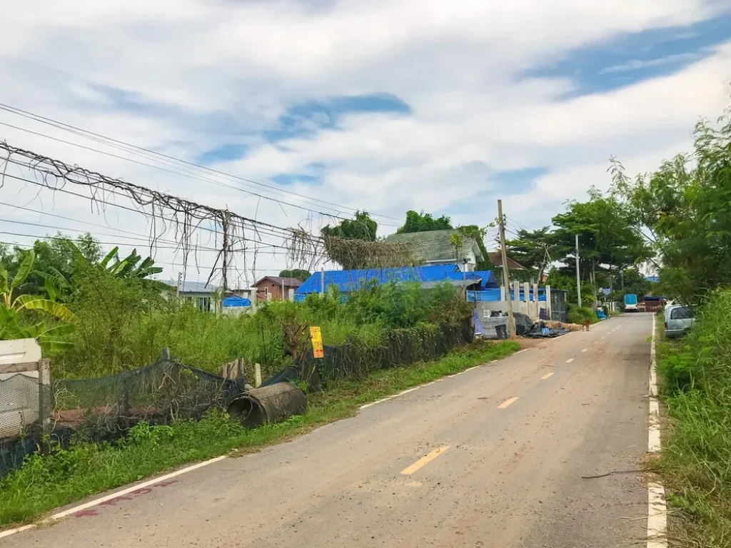 ขายที่ดิน 100 ตรว เลียบคลองนายหลีก ตบางคูรัด อบางบัวทอง จนนทบุรี