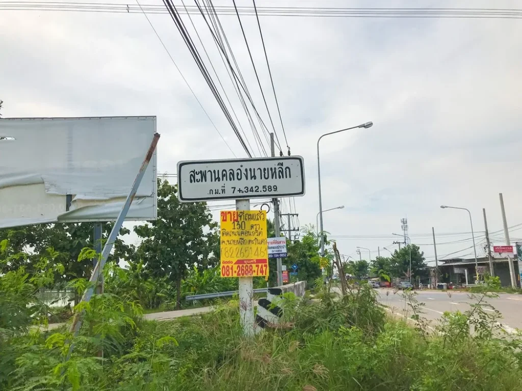 ขายที่ดิน 100 ตรว เลียบคลองนายหลีก ตบางคูรัด อบางบัวทอง จนนทบุรี