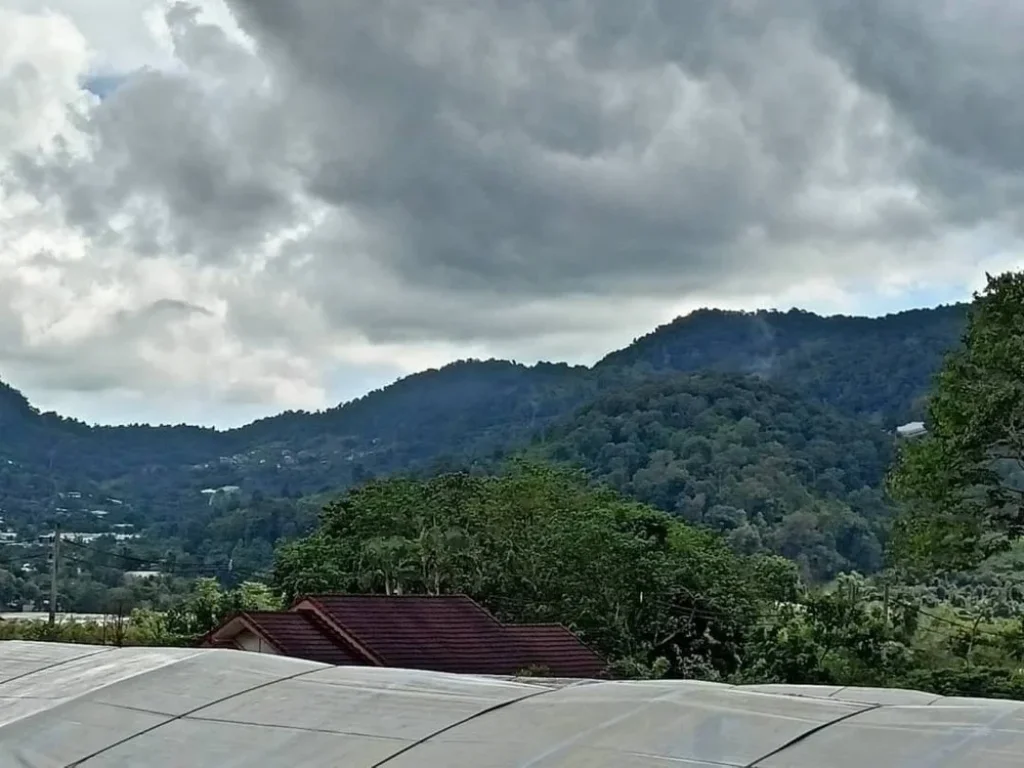 ขายที่ดินเนินดอย วิวเขา ตำบลโป่งแยง อแม่ริม จังหวัดเชียงใหม่