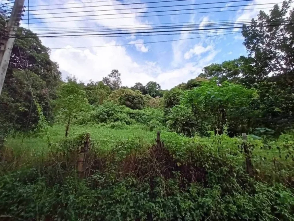 ขายที่ดินเนินดอย วิวเขา ตำบลโป่งแยง อแม่ริม จังหวัดเชียงใหม่