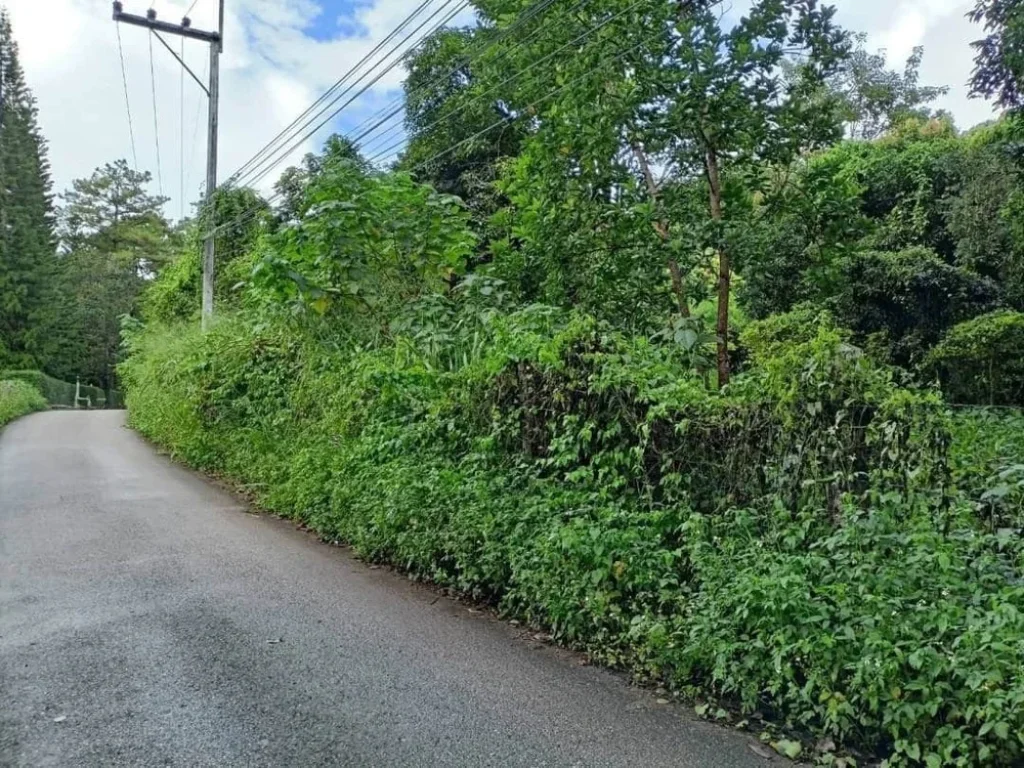 ขายที่ดินเนินดอย วิวเขา ตำบลโป่งแยง อแม่ริม จังหวัดเชียงใหม่