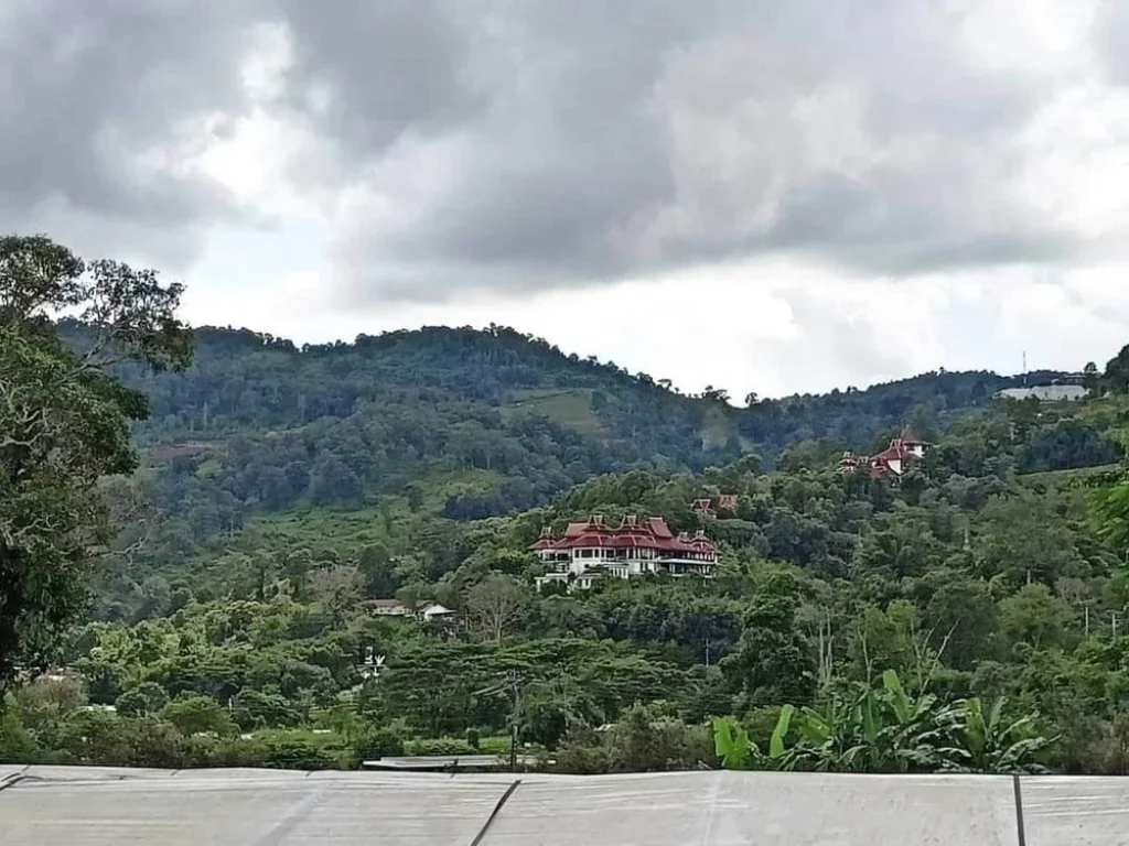 ขายที่ดินเนินดอย วิวเขา ตำบลโป่งแยง อแม่ริม จังหวัดเชียงใหม่