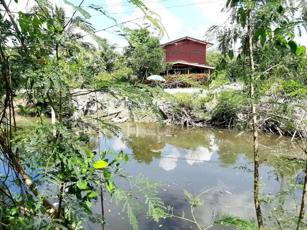 ขายที่ดินเปล่า 3 ไร่ครึ่ง ริมคลองบางหลวงไหว้พระ อลาดหลุมแก้ว จปทุมธานี