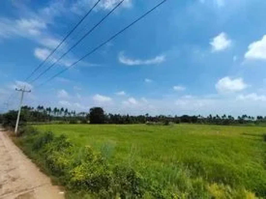 ที่ดินสวย จังหวัดสระแก้ว เจ้าของขายเอง ตศาลาลำดวน อเมือง จสระแก้ว บ้านคลองสำอางค์ใต้