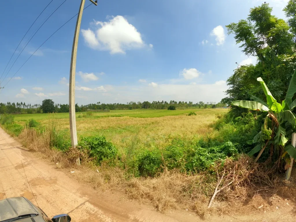 ที่ดินสวย จังหวัดสระแก้ว เจ้าของขายเอง ตศาลาลำดวน อเมือง จสระแก้ว บ้านคลองสำอางค์ใต้