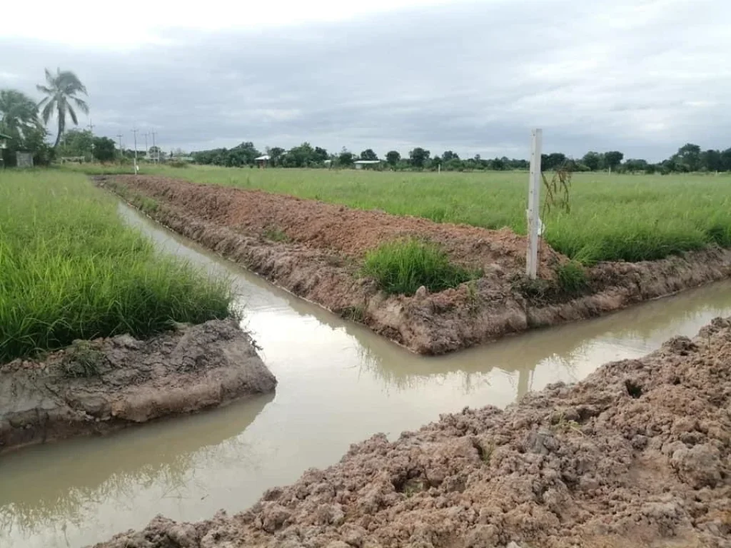 ขายที่ดิน10 ไร่ ติดถนนดำ หลังศูนย์ราชการใหม่จังหวัดอุทัยธานี