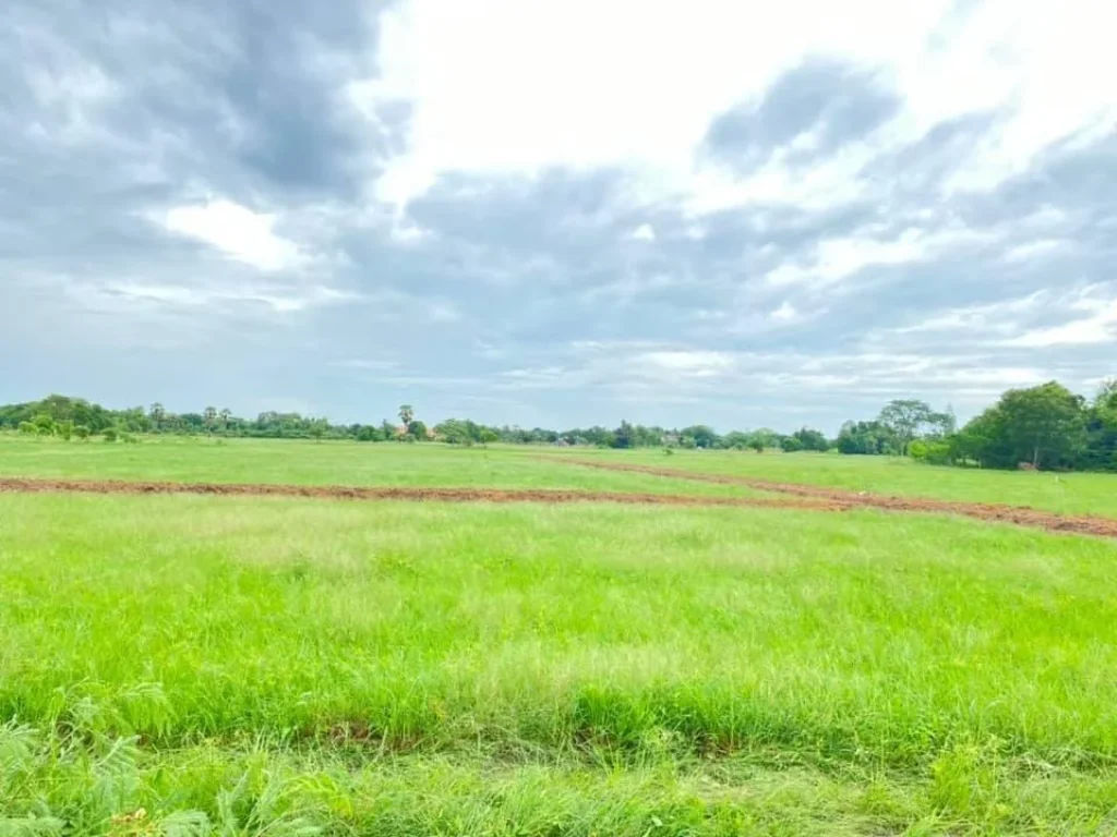 ขายที่ดิน10 ไร่ ติดถนนดำ หลังศูนย์ราชการใหม่จังหวัดอุทัยธานี