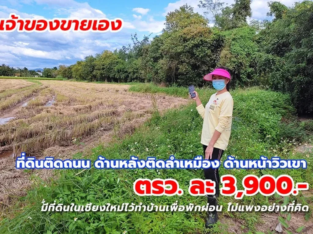 ขายที่ดินเชียงใหม่ ตรวละ 3900- ติดถนน หลังติดลำเหมือง หน้าวิวเขา 35 ไร่ แบ่งได้