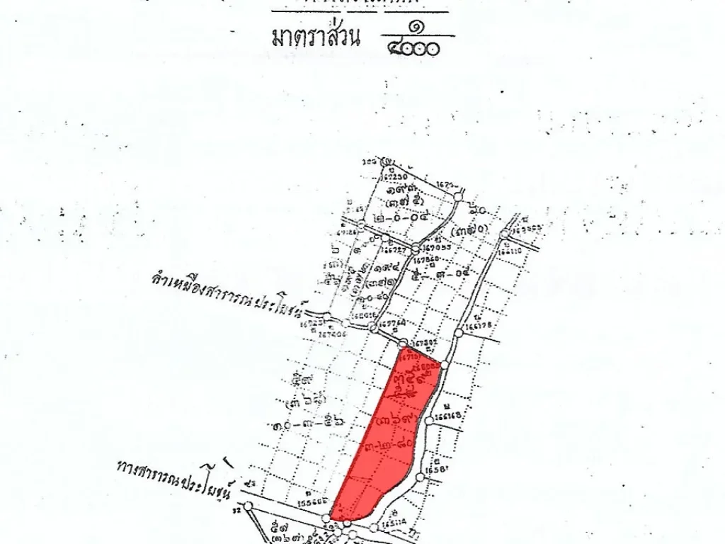 ขายที่ดินเชียงใหม่ ตรวละ 3900- ติดถนน หลังติดลำเหมือง หน้าวิวเขา 35 ไร่ แบ่งได้