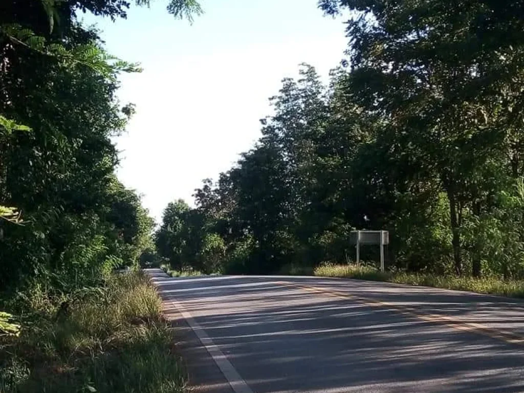 ที่ดินเปล่าสี่เหลี่ยม กลางเนิน วิวสวย ติดถนนสายหลัก อุตรดิตถ์