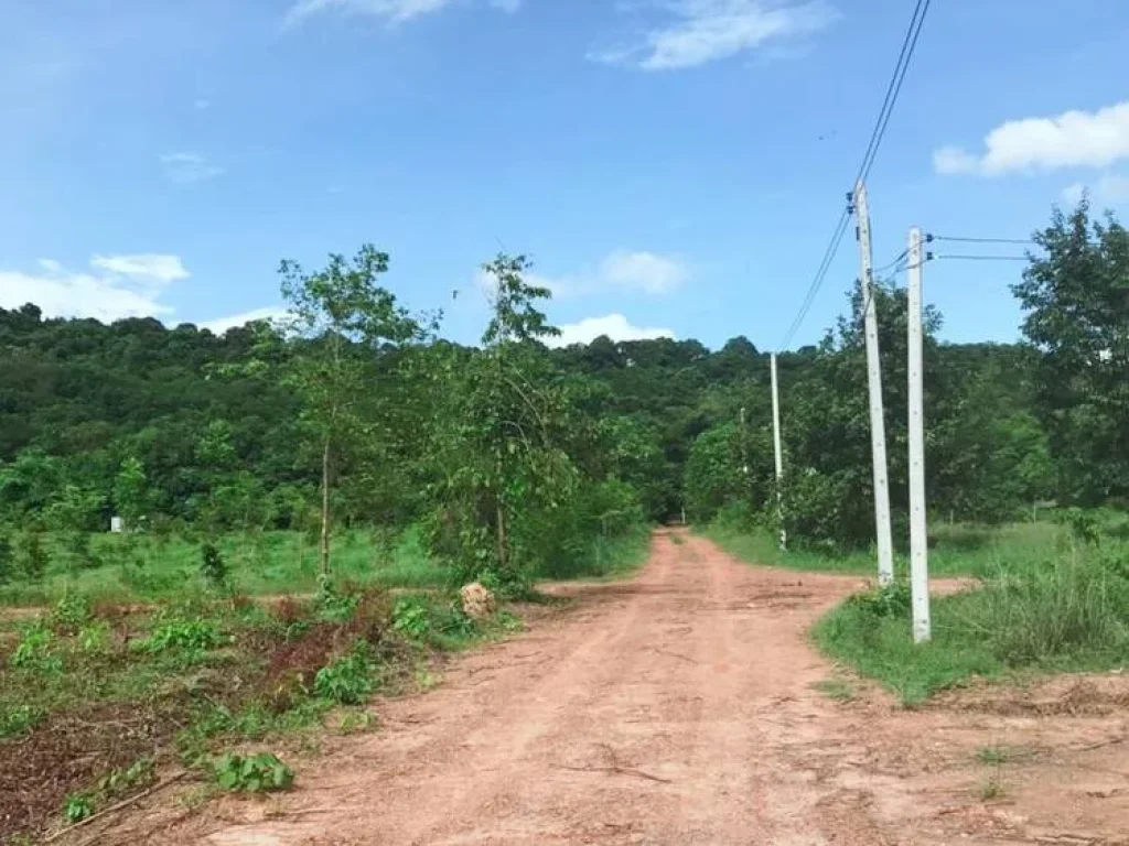 ขายที่ดินแปลงนี้วิวสวย ติดถนนสาธารณะประโยชน์ ที่ดินสูงติดถนน อกบินทร์บุรี จปราจีนบุรี