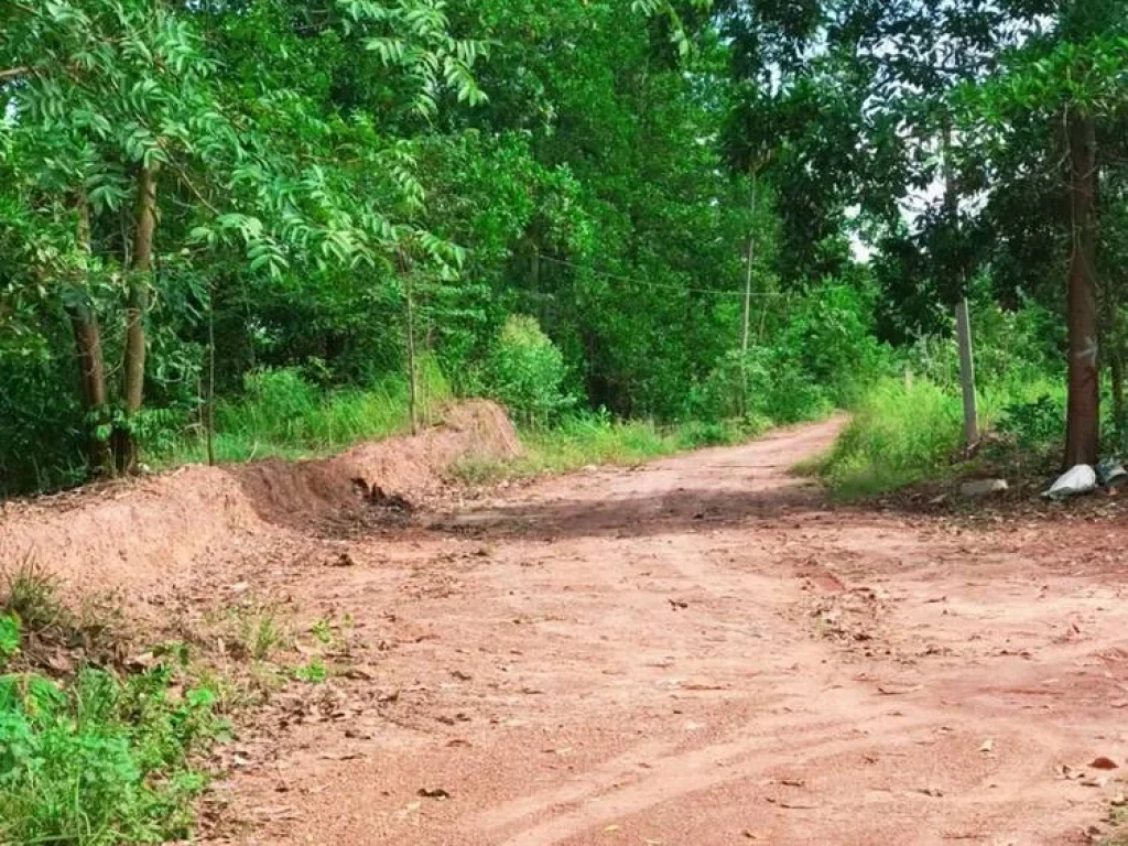 ขายที่ดินแปลงนี้วิวสวย ติดถนนสาธารณะประโยชน์ ที่ดินสูงติดถนน อกบินทร์บุรี จปราจีนบุรี