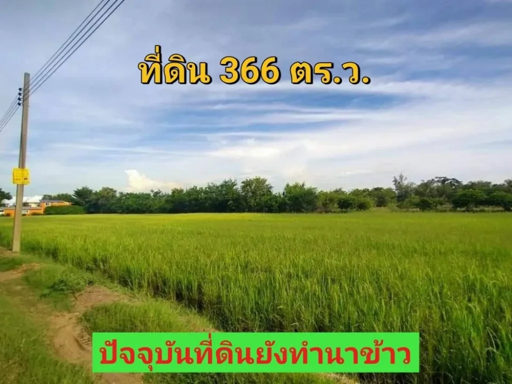 ขายถูก ที่ดิน 366 ตารางวา ใกล้ถนน340 เหมาะสร้างบ้านสวน ตราษฎร์นิยม อไทรน้อย จนนทบุรี