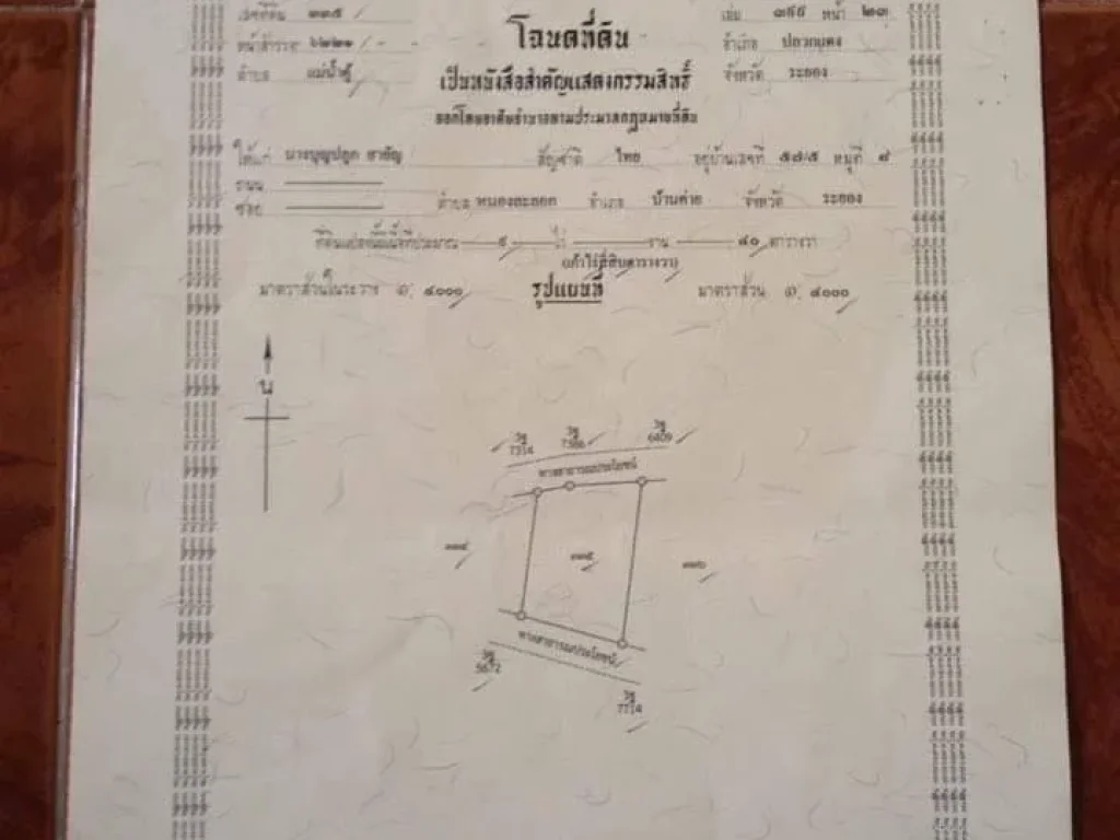 ขายที่ดิน ทำเลดี ราคาถูก อำเภอปลวกแดง จังหวัดระยอง