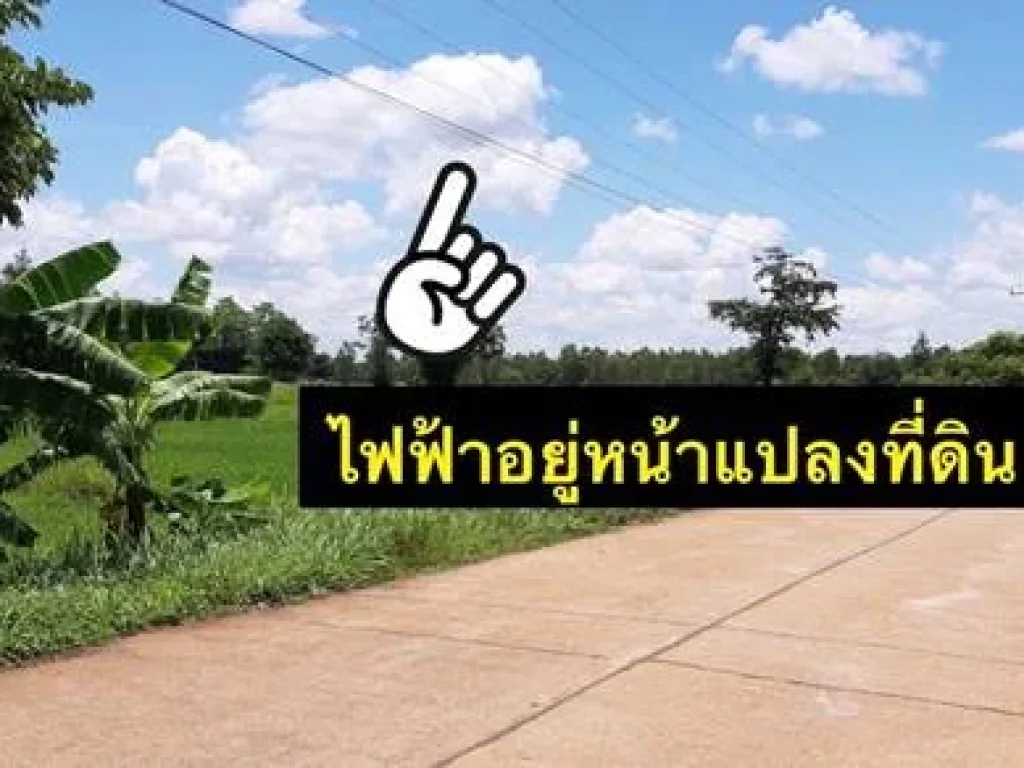 ขายที่ดินเปล่า ตหนองบัวสิม อคำตากล้า จสกลนคร 30 ไร่ หมาะสำหรับสร้างบ้านอยู่อาศัย