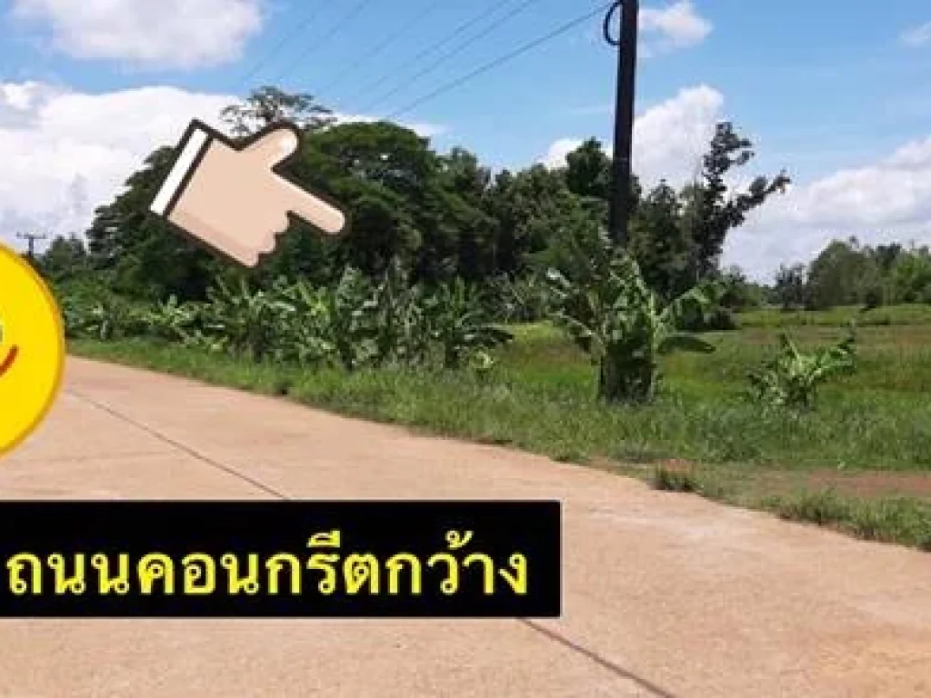 ขายที่ดินเปล่า ตหนองบัวสิม อคำตากล้า จสกลนคร 30 ไร่ หมาะสำหรับสร้างบ้านอยู่อาศัย