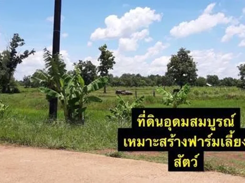 ขายที่ดินเปล่า ตหนองบัวสิม อคำตากล้า จสกลนคร 30 ไร่ หมาะสำหรับสร้างบ้านอยู่อาศัย