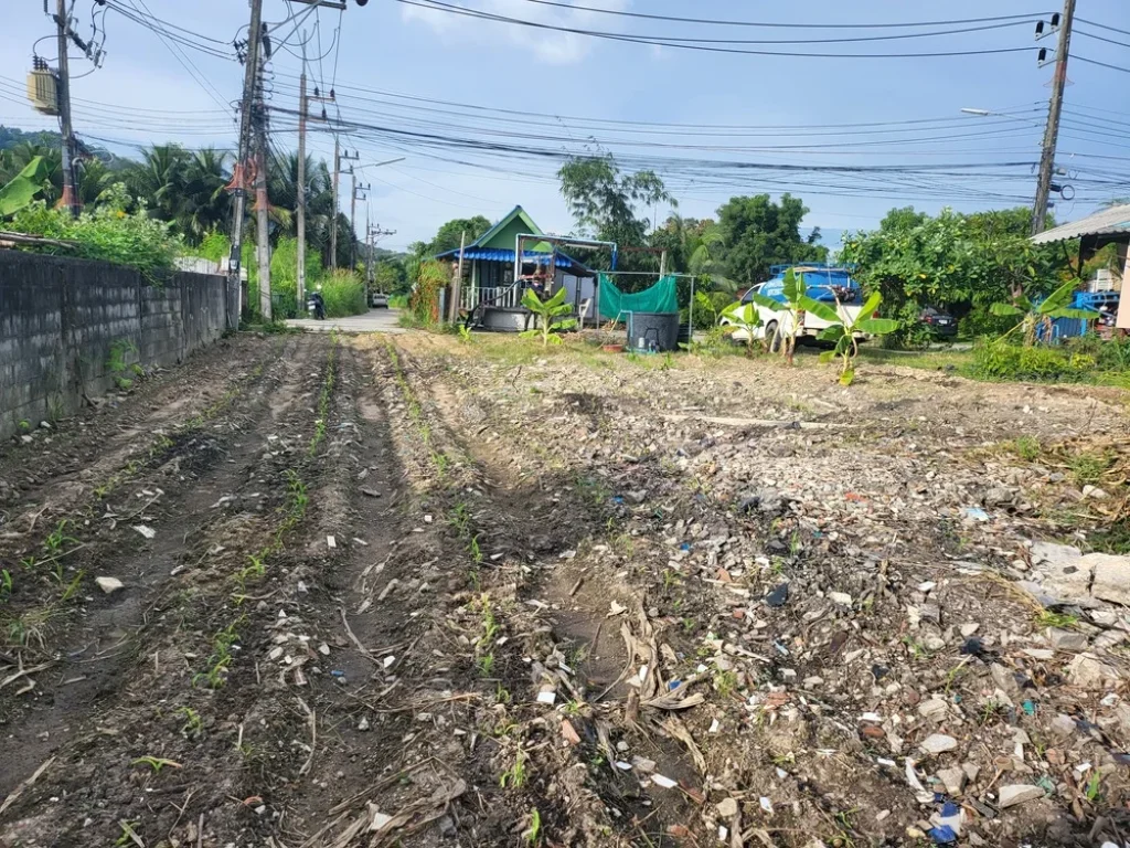 ขายที่ดินโฉนด 50 ตรวา ซโต๊ะดำ ไสยวน -ในหาน ทำเลดี เข้าออก ได้หลายทาง