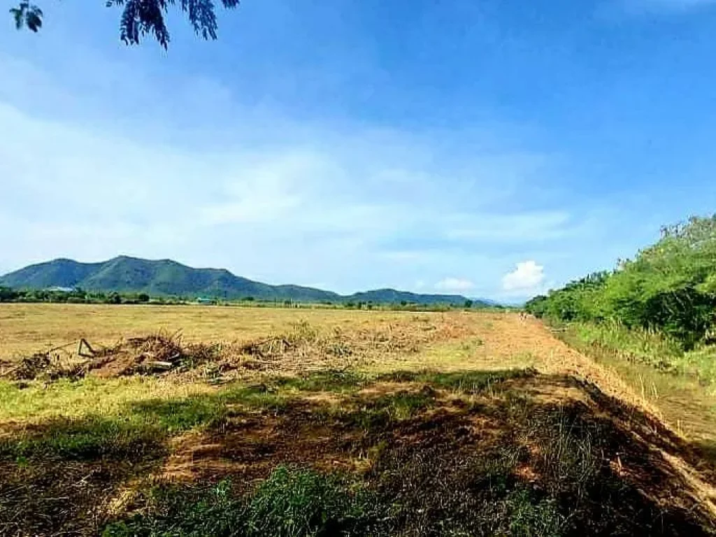 ที่ดินแบ่งขาย วิวเขากระปุก โครงการชั่งหัวมัน อท่ายาง เพชรบุรี