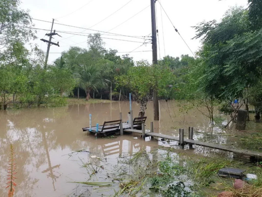 ขายที่ดิน อัมพวา ติดคลองประชาชื่น ถนนพระราม 2 อเมืองสมุทรสงคราม จสมุทรสงคราม