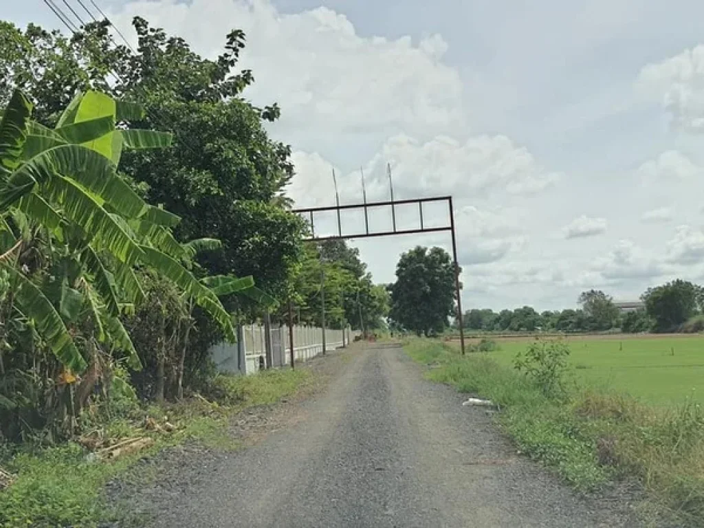 ขายด่วน ที่ดินสวย ที่ดินเปล่าลำลูกกา คลอง 13 ลำลูกกา จปทุมธานี