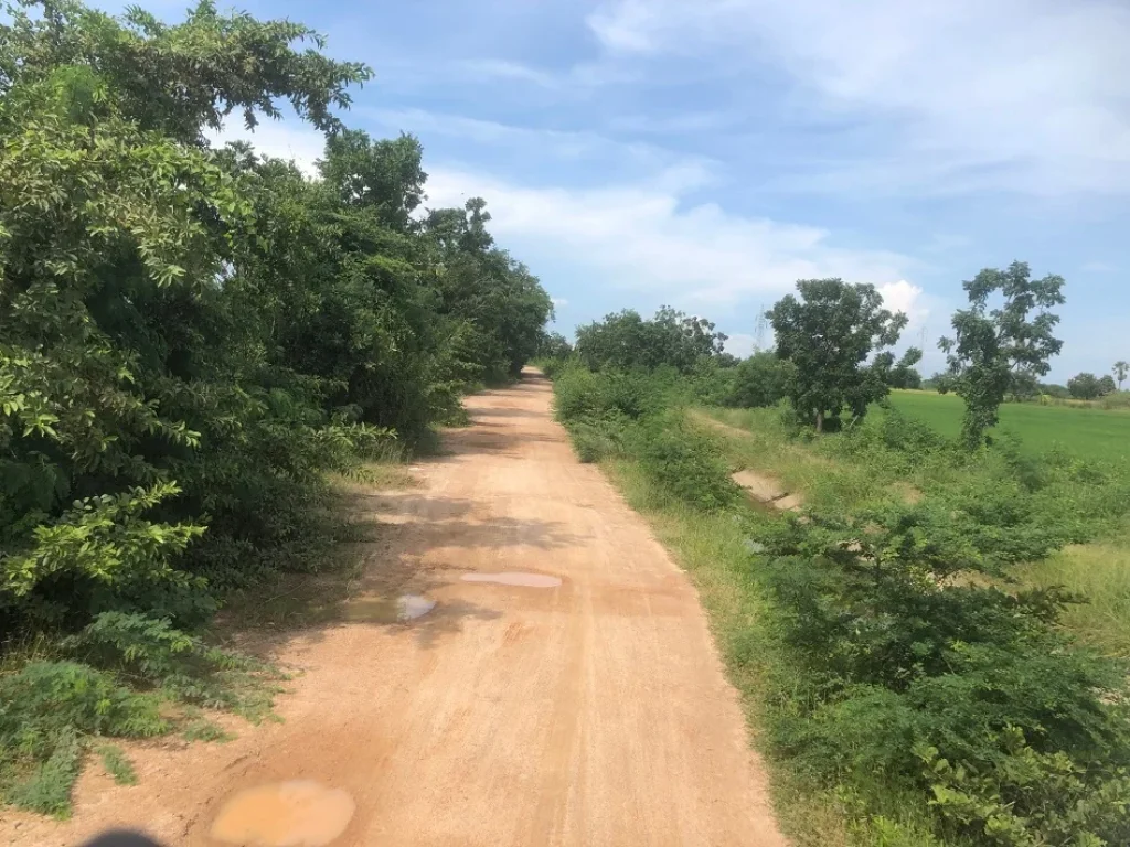 ขาย ที่ดิน 4 ไร่ 2 งาน 94 ตรว วิวเขานางพันธุรัตน์ ใกล้หาดชะอำ