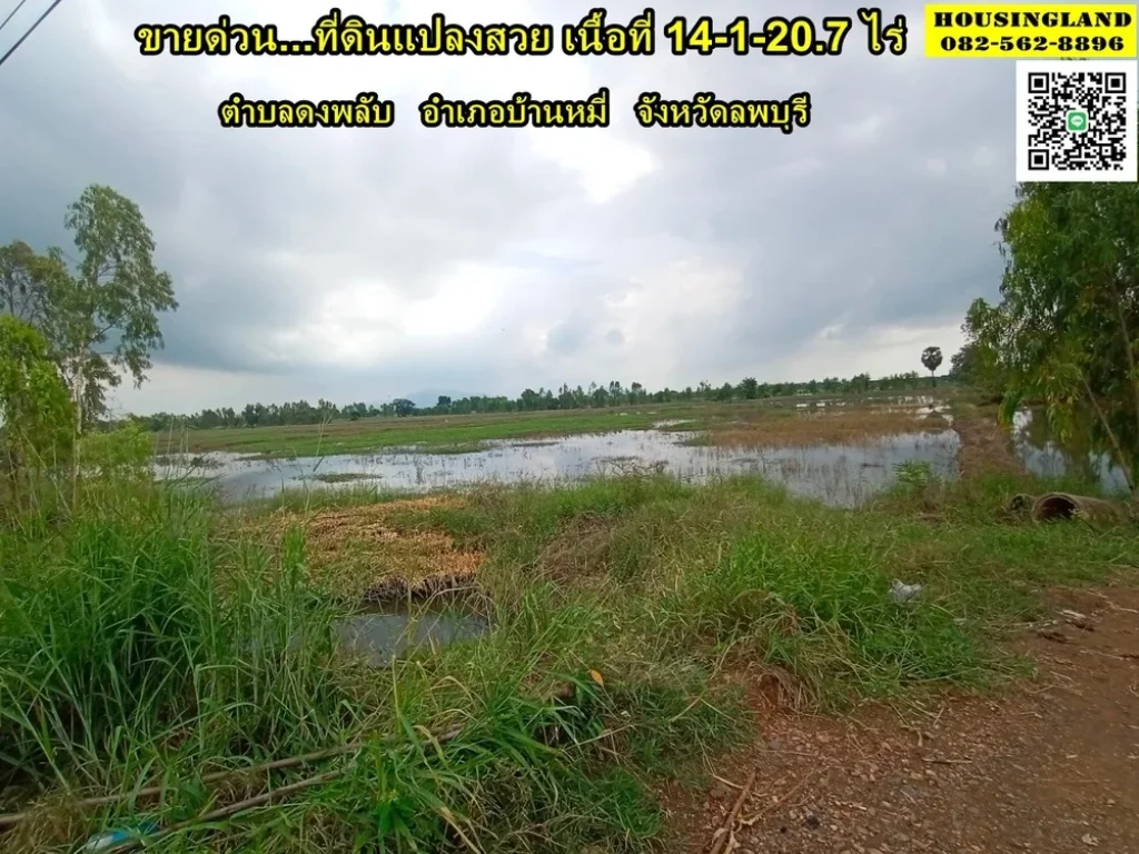 ขายที่ดินแปลงสวยราคาถูก 14-1-20 ไร่ บ้านหมี่ ลพบุรี ตำบลดงพลับ อำเภอบ้านหมี่ จังหวัดลพบุรี